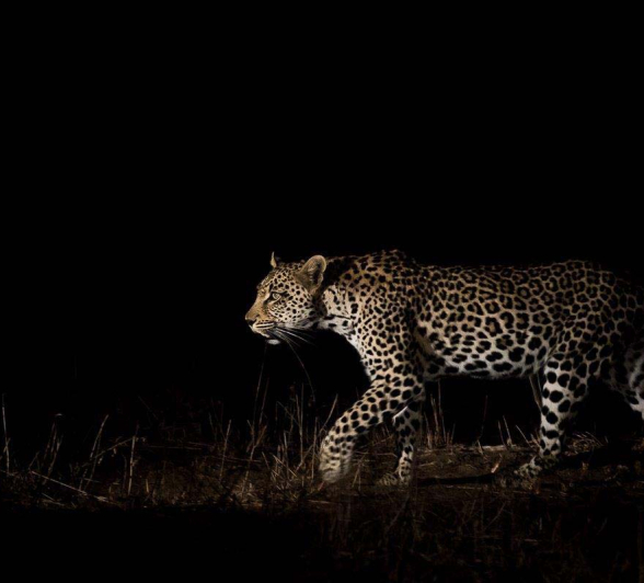 12Sheldon Hooper Totowa On The Prowl 3 12Sheldon Hooper Totowa On The Prowl 3