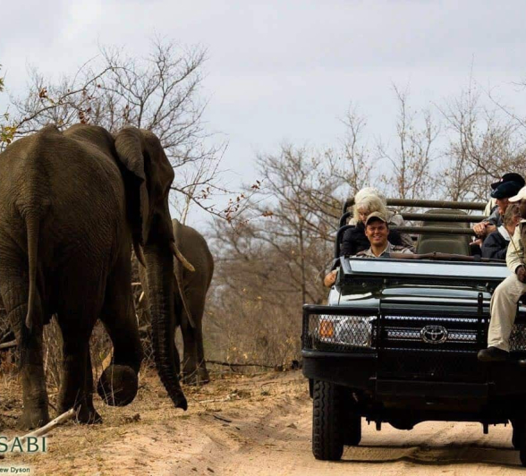 11Matthew Dyson Fred Ele Final