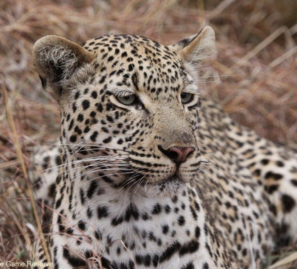 B01Erin Herbst Ngumi 1 250821 Final B01Erin Herbst Ngumi 1 250821 Final