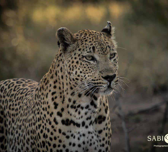 10Kevan Dobbie Maxabeni 240118.2 Final 10Kevan Dobbie Maxabeni 240118.2 Final