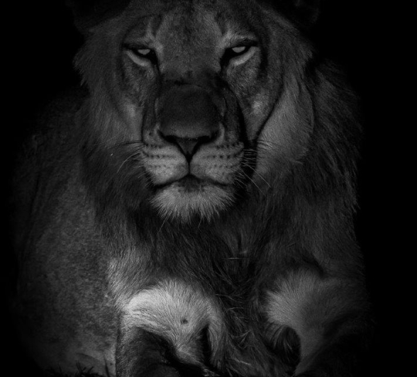 04Kerry Lee Roberg SP2010.3 Final 04Kerry Lee Roberg SP2010.3 Final