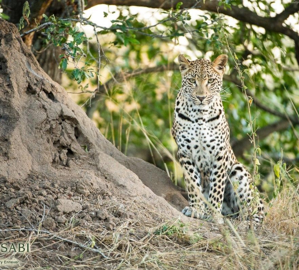09Terry Ennever LBC 22517 Final 09Terry Ennever LBC 22517 Final