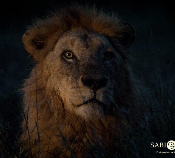 11Kevan Dobbie Matimba Males 0712 Final