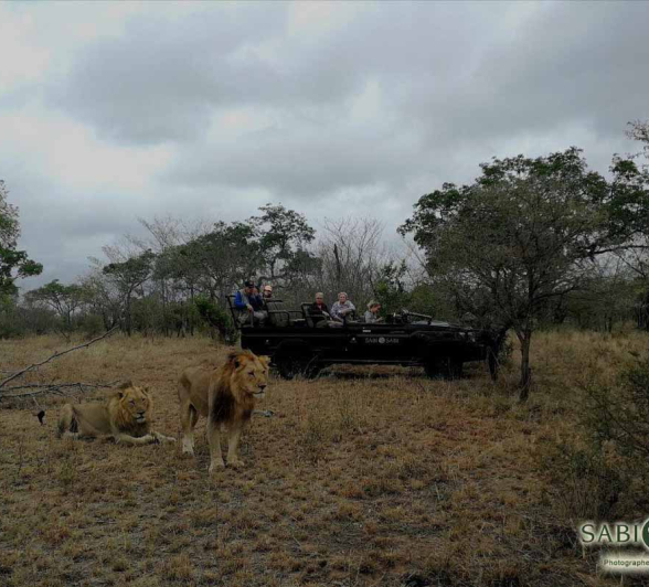 04Kerry Roberg Avocas 26012018 Final