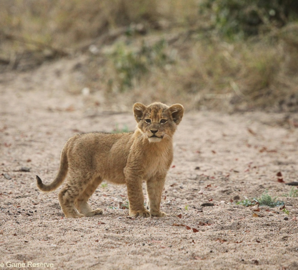 B03Erin Herbst Styx 2 140921 Final