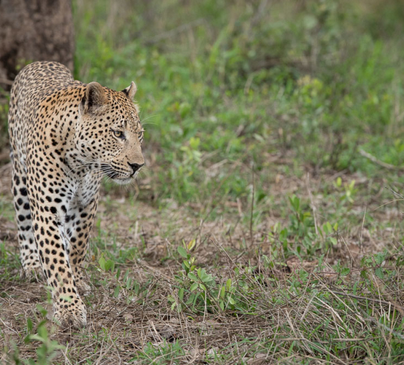 Mike Palmer Max Mike Palmer Max