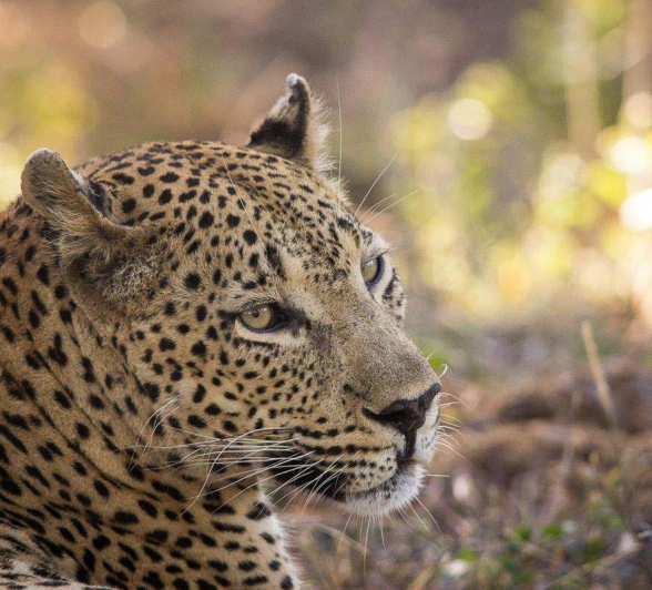 22Franscois Rosslee Max 1 22Franscois Rosslee Max 1