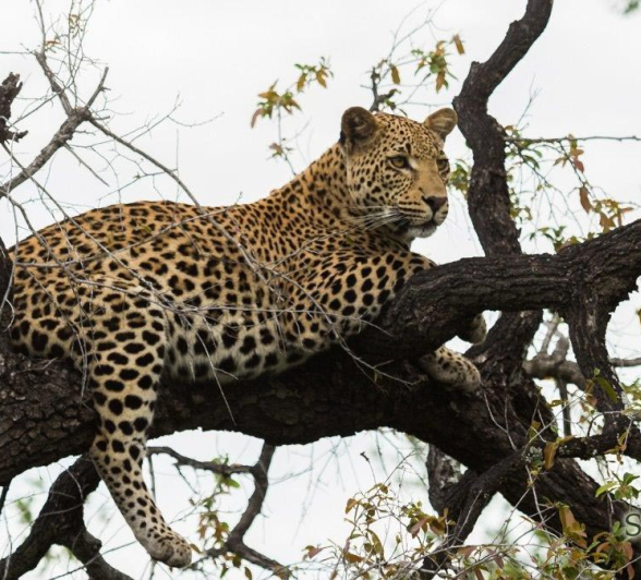 18Kevan Dobbie WDAM 1 Final 18Kevan Dobbie WDAM 1 Final