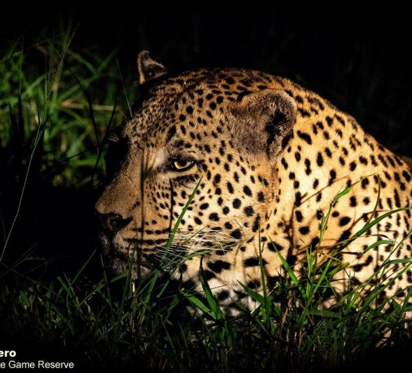 22ronald Mutero White Dam 23022021 6 Final