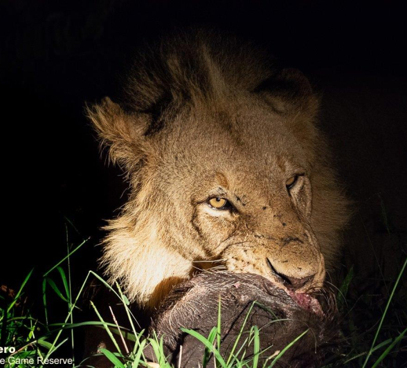 14ronald Mutero Talamati Female 02012023  4 Final