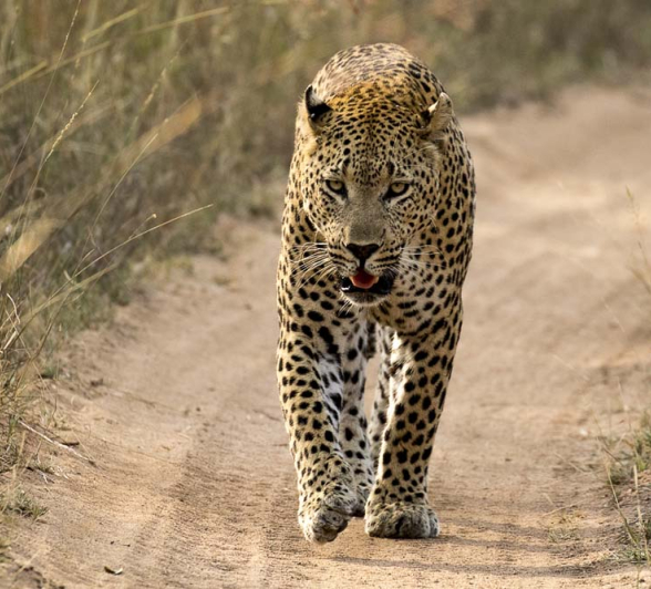 Kyle Maxabeni Kyle Maxabeni