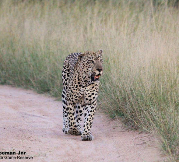 25Stefan Schoeman Jnr Xovo 01042020 2 Final 25Stefan Schoeman Jnr Xovo 01042020 2 Final