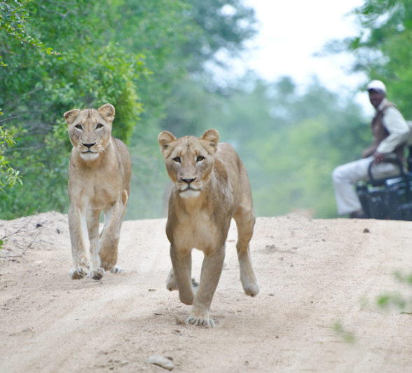 Southern Pride Running2 Southern Pride Running2