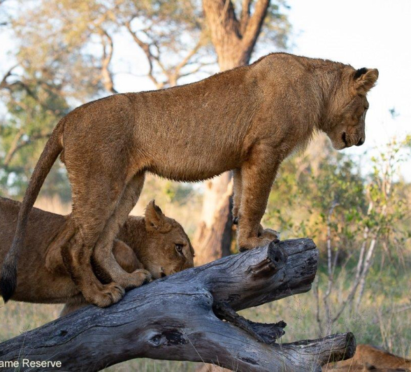 A38ronald Mutero Styx 02062022 5 Final