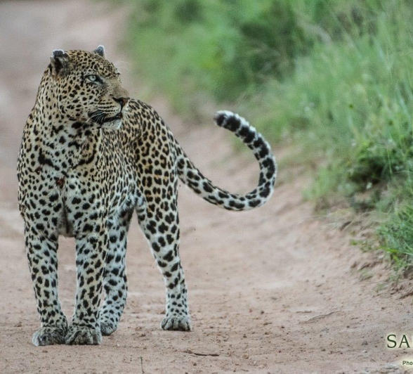 19Terry Ennever Kashane 11117 Final