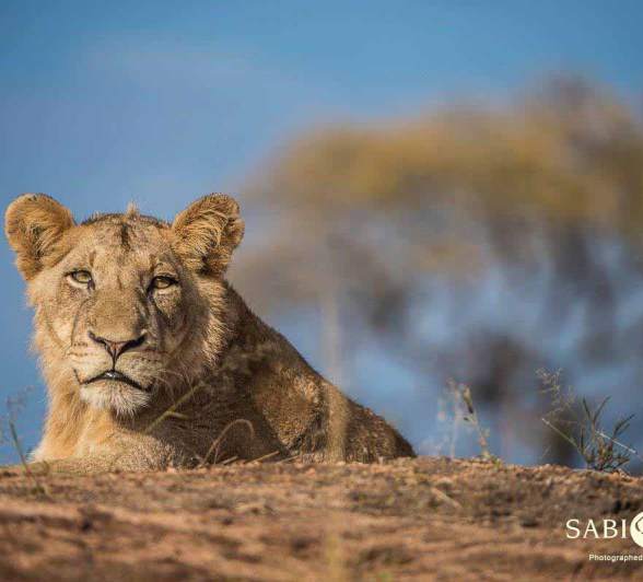 36Terry Ennever SP 2018514 2 Final 36Terry Ennever SP 2018514 2 Final