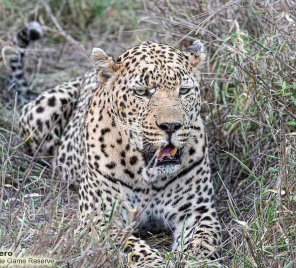 21ronald Mutero Dayone 18112020 11 Final 21ronald Mutero Dayone 18112020 11 Final