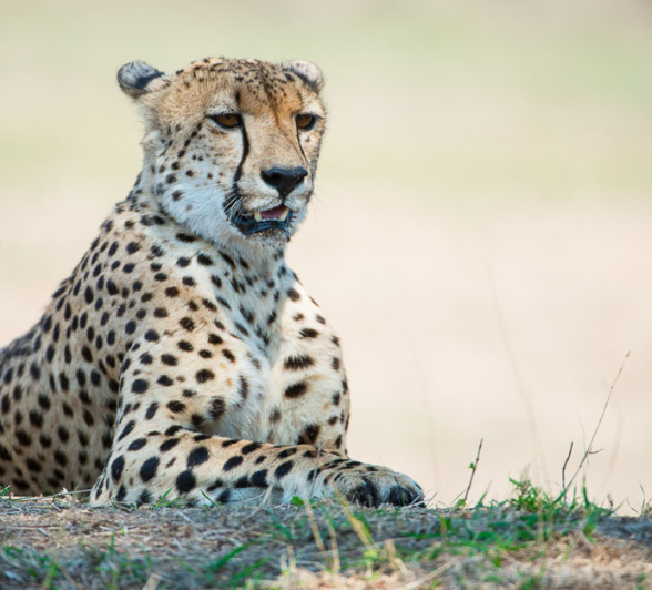 HighlightsOct Nov5.Terry 