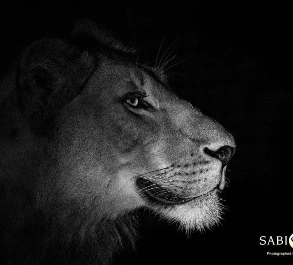 17Kerry Lee Roberg SP220319.1 Final