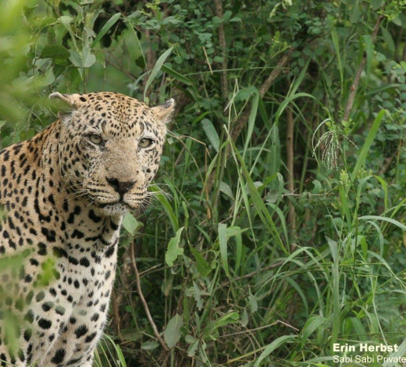 31Erin Herbst Xovo 3 090221 Final