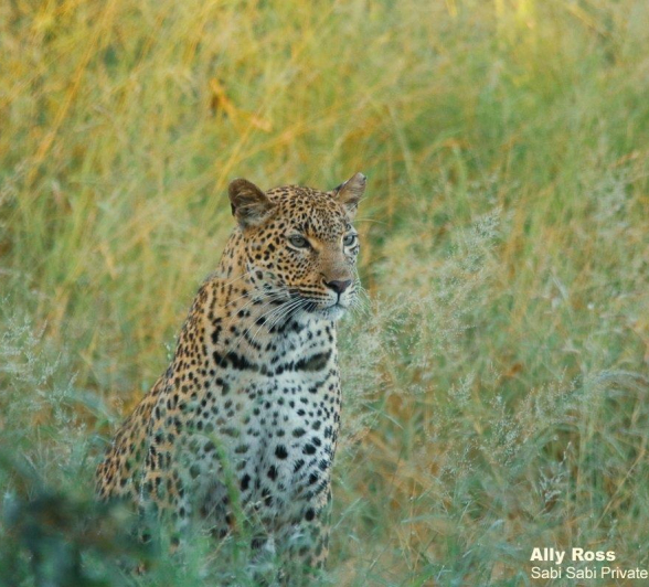 23Ally Ross 20210314 Kigelia 03 Final