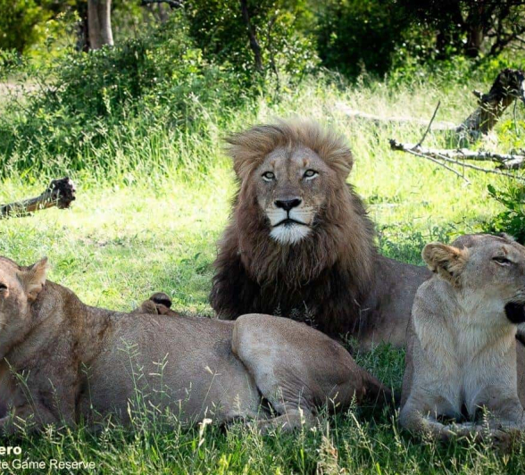 25ronald Mutero Mhangeni 04012020 13 Final
