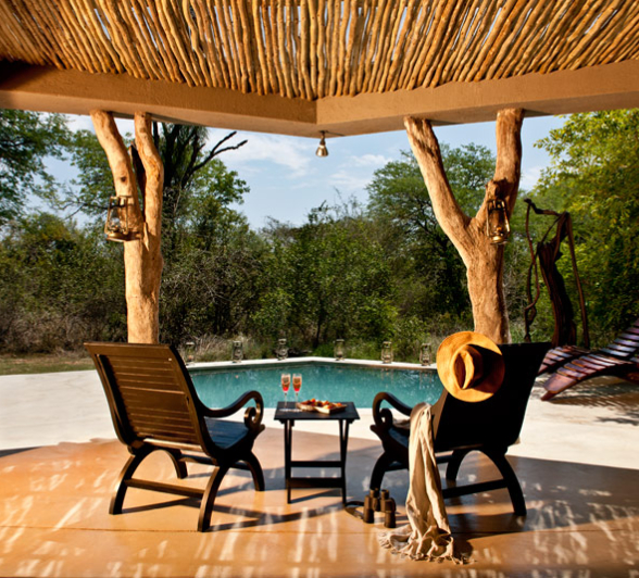 SABI SABI 31 10 15 223FINAL 800px SABI SABI 31 10 15 223FINAL 800px