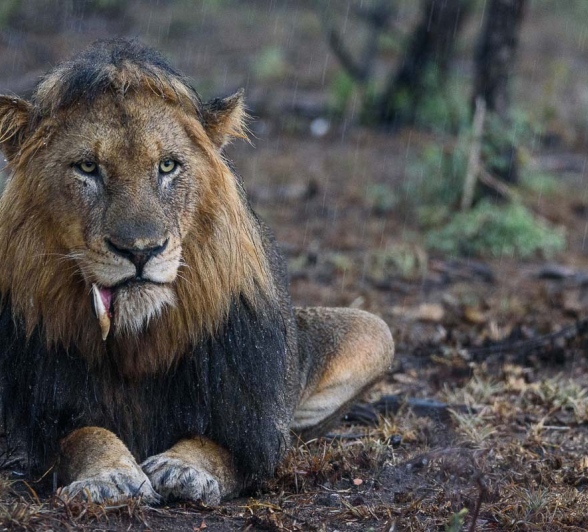 19Mike Palmer Charleston 090316