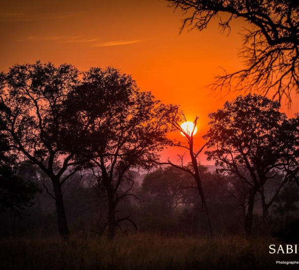 03Franscois Rosslee Sunrise Final 03Franscois Rosslee Sunrise Final