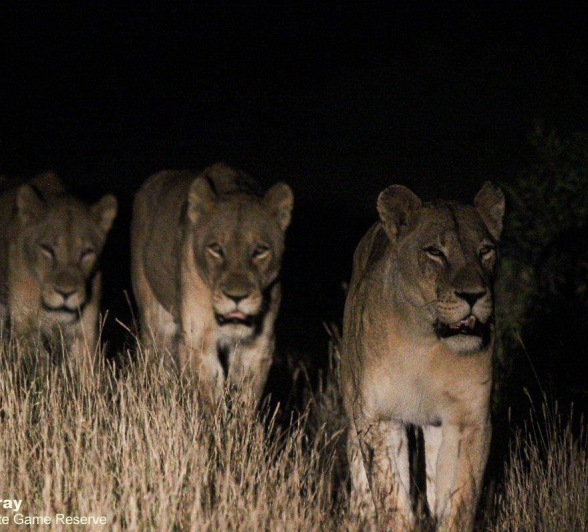 35Louise Murray Mangheni 24032020 2 Final 35Louise Murray Mangheni 24032020 2 Final