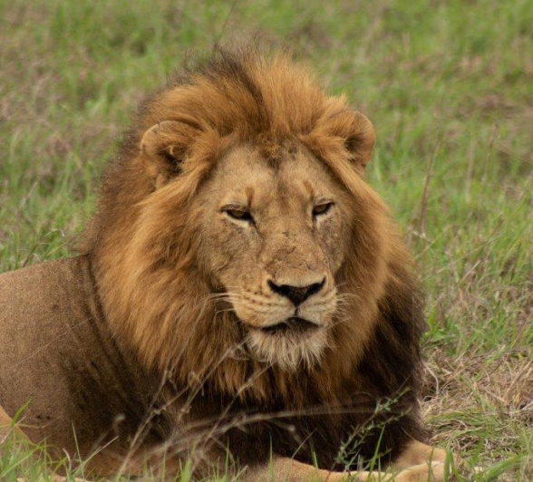 B05David Den Hartog Nwas Male 11 17 2021 4 Final B05David Den Hartog Nwas Male 11 17 2021 4 Final