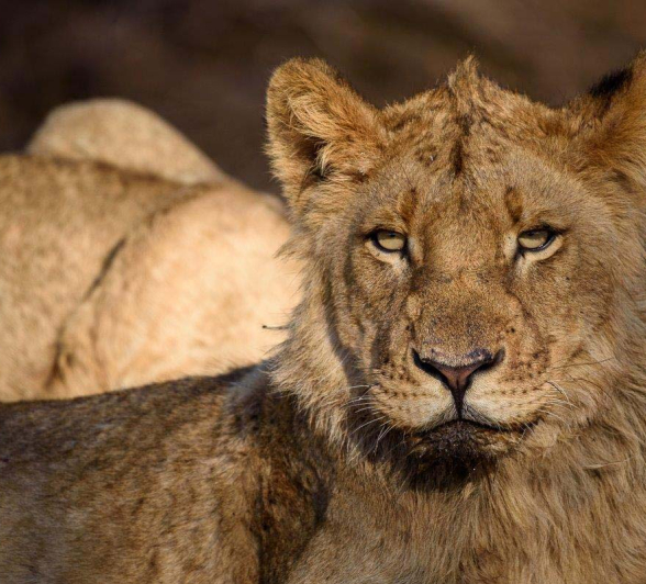 08Mike Palmer Charleston Pride 080816 3