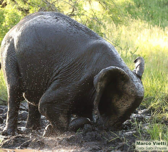 12Marco Vietti Mud Bath 1 180220  Final 12Marco Vietti Mud Bath 1 180220  Final