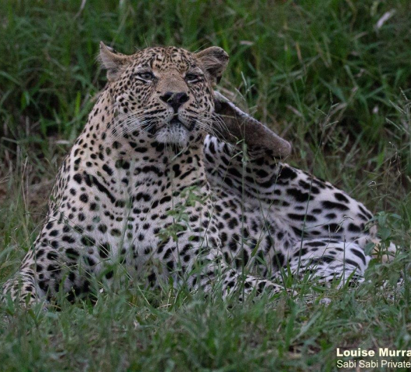 22Louise Murray Nweti 06022021 2 Final