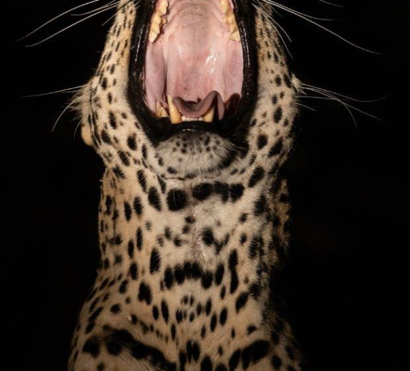 A27Graeme Stewart Nweti 101121 Final