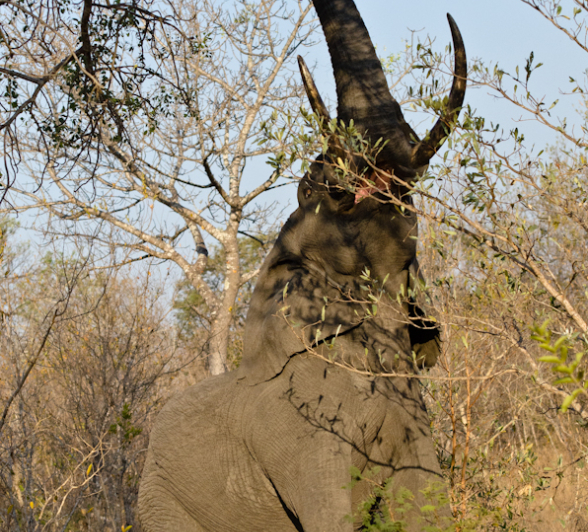 Nikon Family Weekend 8