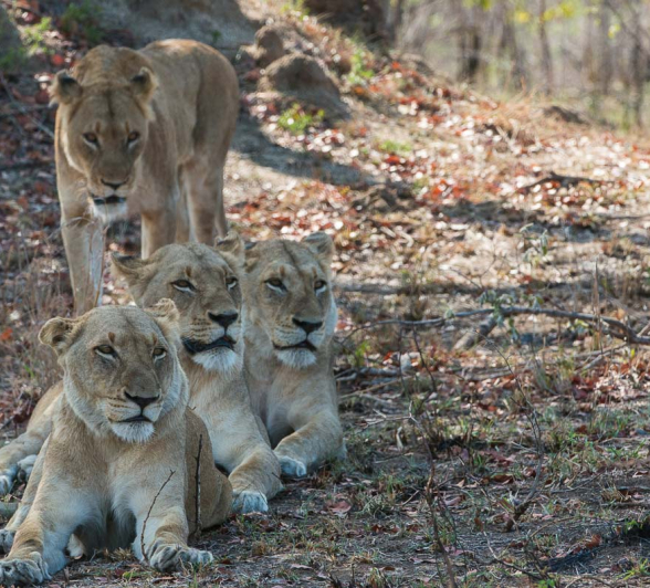 11Terry Ennever Highlights Sept Oct 3