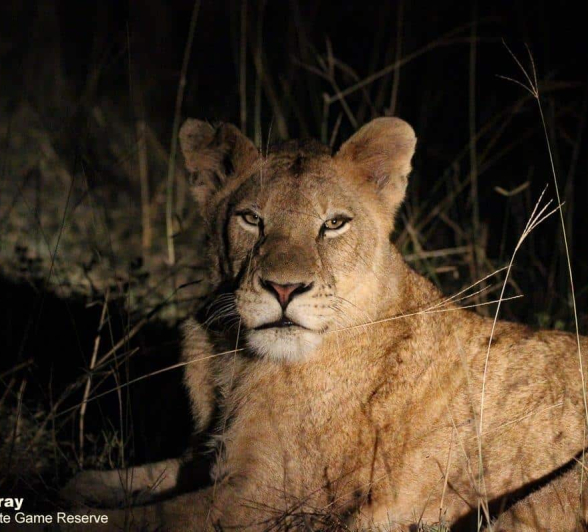 34Louise Murray Mangheni 24032020 Final 34Louise Murray Mangheni 24032020 Final