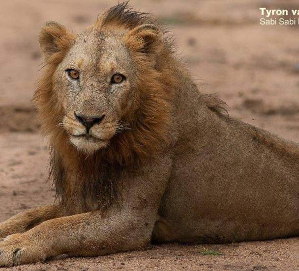 08Tyron Van Der Walt NWashishaka Males 160420 3 Final