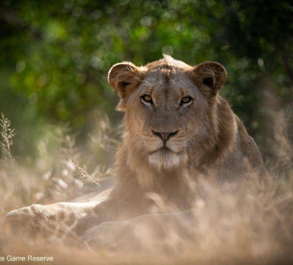 29Ally Ross 202000607 Plains Camp Male 02  Final