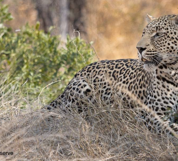 27Graeme Stewart Nweti 270820 1 FINAL