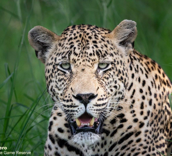 A31ronald Mutero Nweti 14122021 Final A31ronald Mutero Nweti 14122021 Final