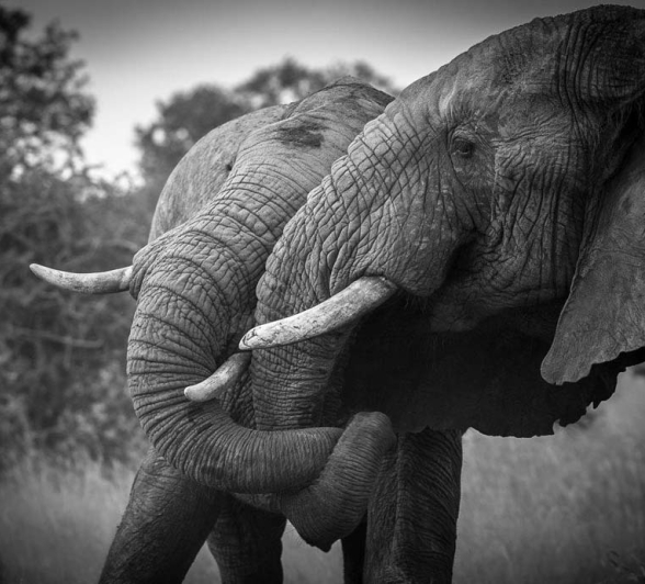 Terry Ennever HighlightsDecJan17