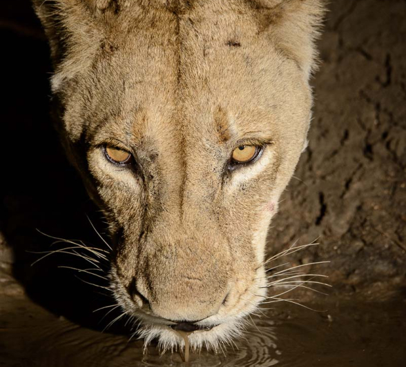 09Mike Palmer Charleston SP 061215 3