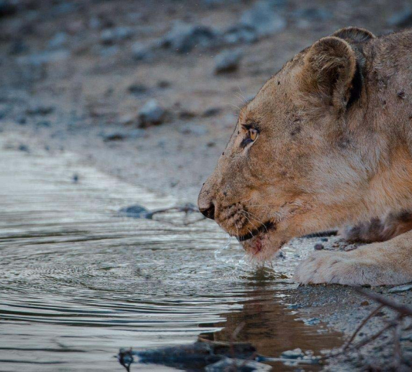 13Terry Ennever Sp 27 2 15 13Terry Ennever Sp 27 2 15