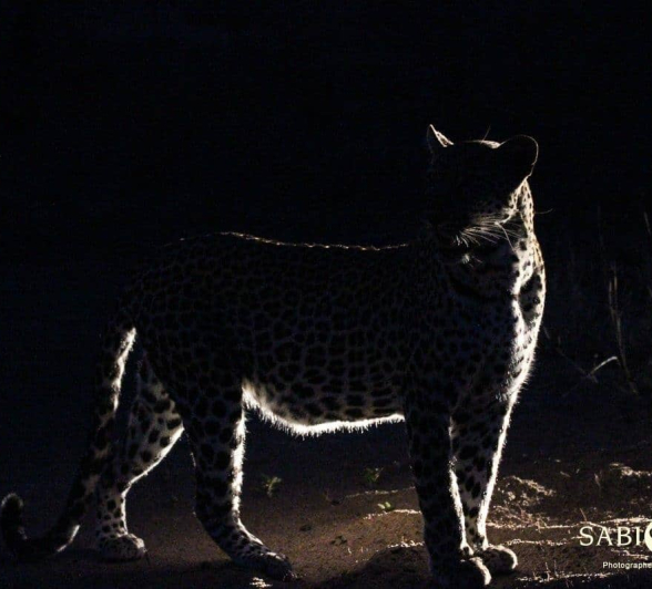 06Louise Murray Msuthlu 25112018 1 Final