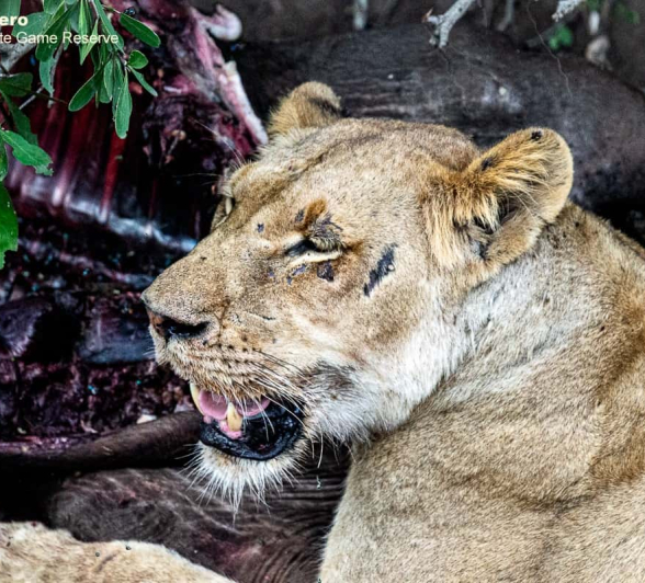 02ronald Mutero Nwash And Sp 27112020  2 Final