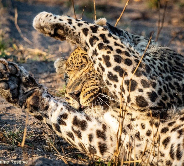 B16Ronald Mutero Dewane Or Day One 30082021 14 Final B16Ronald Mutero Dewane Or Day One 30082021 14 Final