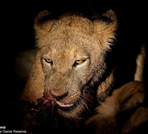 09ronald Mutero Styx 02012023  7 Final