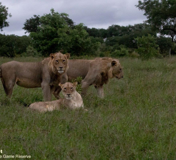 A14Jason Street Talamati 311222 2 Edit Final